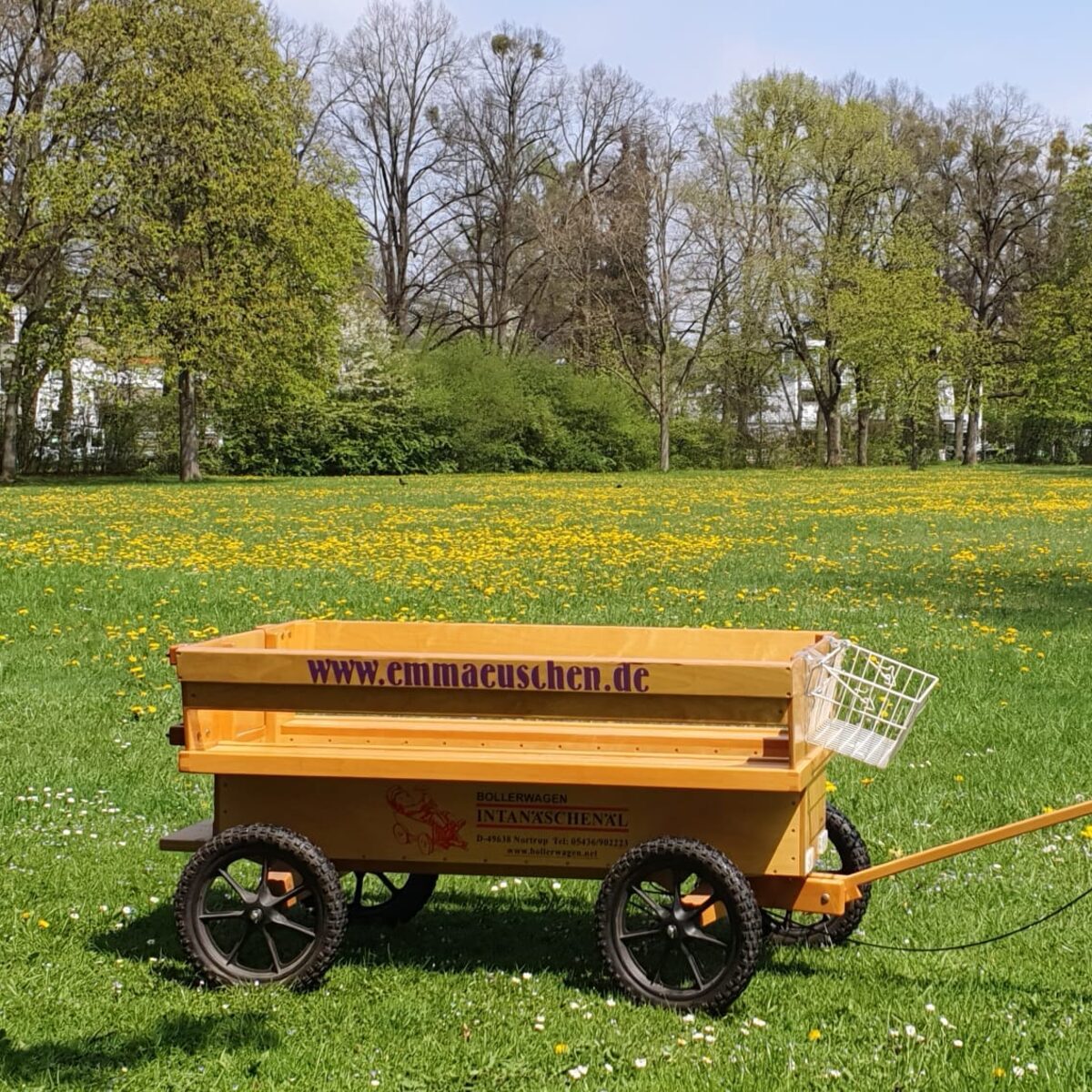 Der gelbe Emmäuschen-Bollerwagen auf einer Frühlingswiese